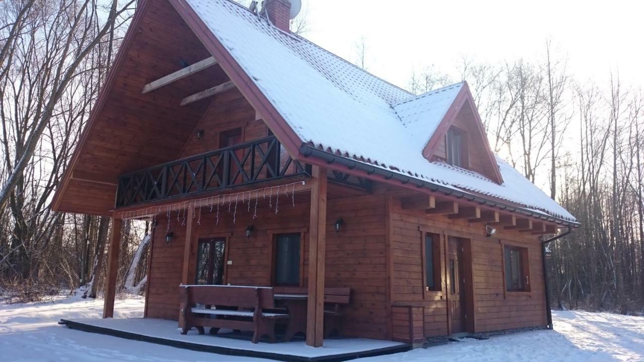 Willa Bobrowa Dolina Wojtostwo  外观 照片